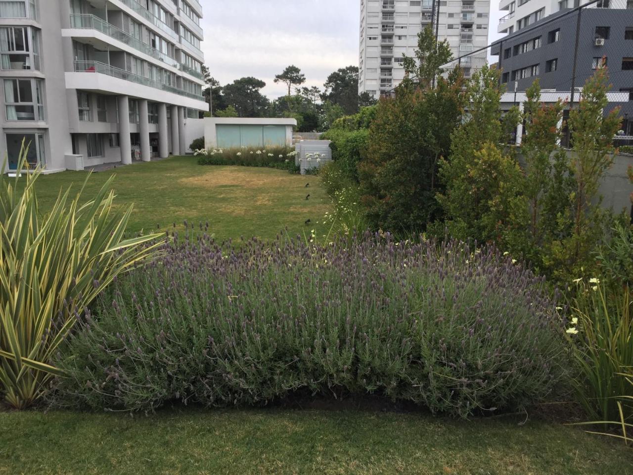 Bellagio Tower New Apartments Punta del Este Extérieur photo